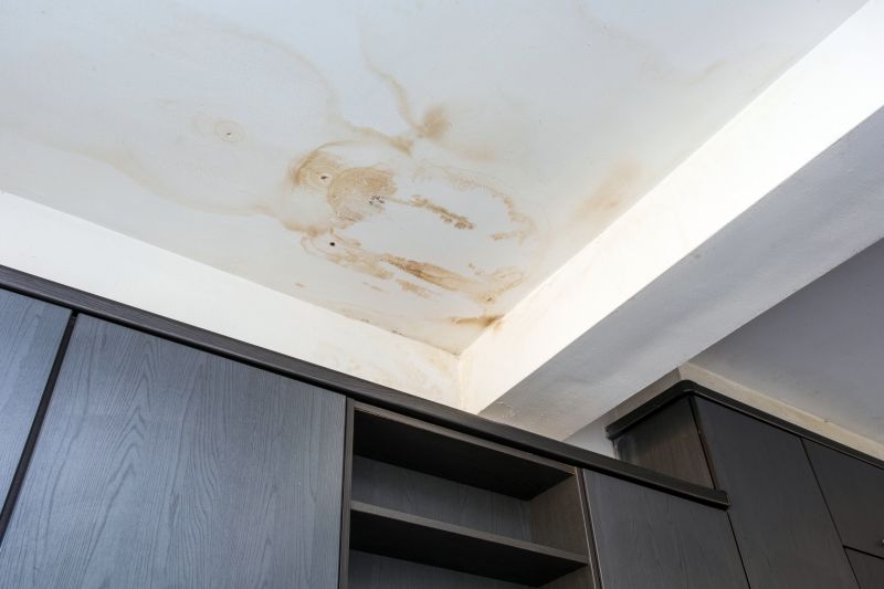 Attic Water Damage Repair in Katy, TX