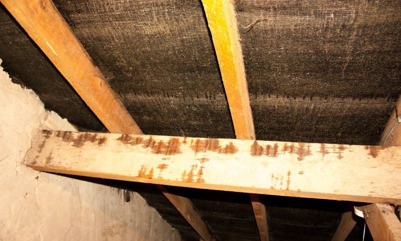Ceiling Leak Repair Service in Conroe, TX